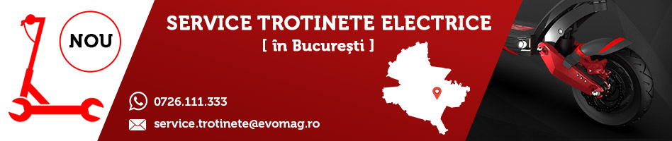 Categorie-Service-trotinete-electrice