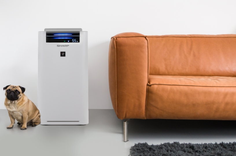 Purificator de aer Sharp KC-G60EU-W