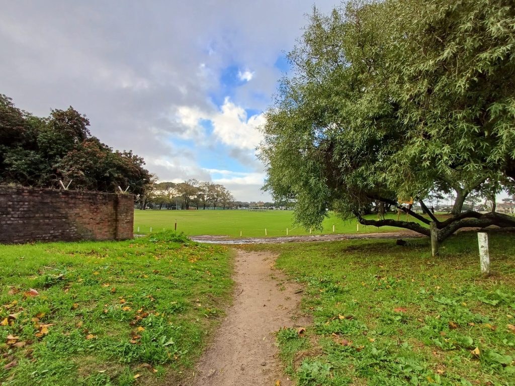 review samsung a34 camera test ultra wide