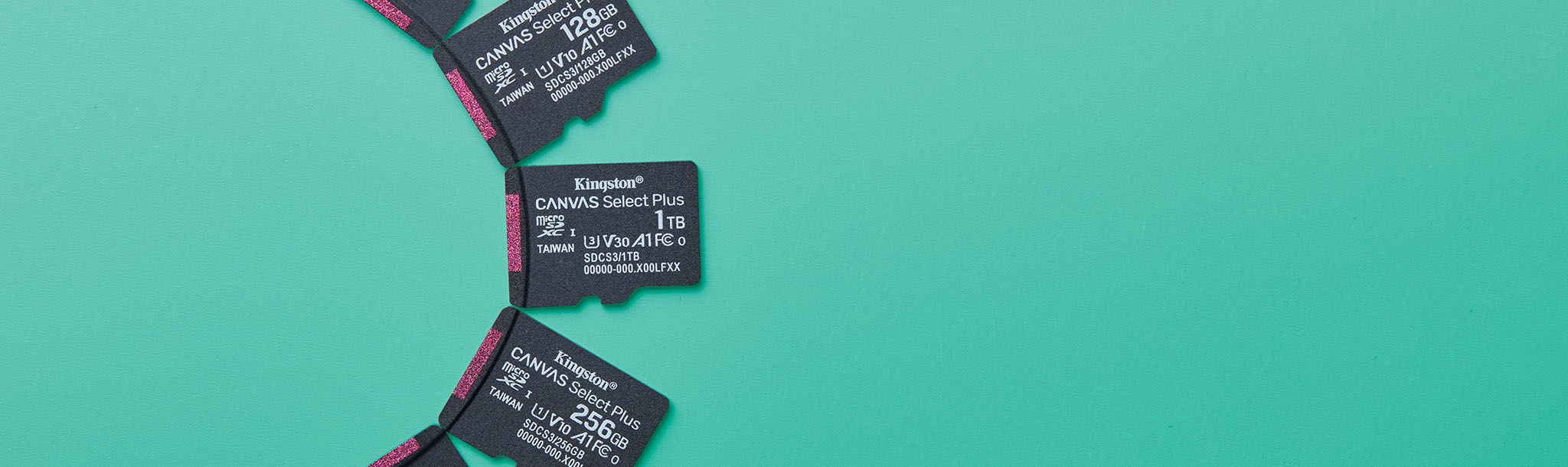 Multiple Canvas Select Plus microSD cards arranged in a semicircle on a green surface
