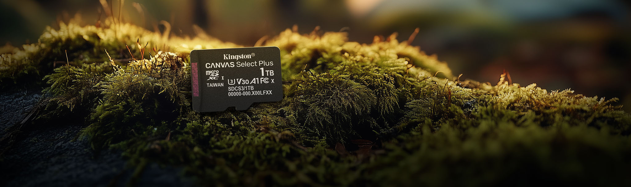A Canvas Select Plus microSD card sits on a mossy rock