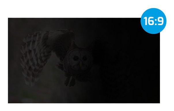 Imagine necunoscută