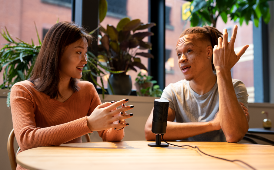 Doua modele selectabile de preluare a vocii