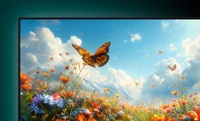 Televizor BRAVIA cu o imagine 4K uimitoare cu un fluture zburand deasupra unui camp de flori colorate, cu munti si nori in fundal.
