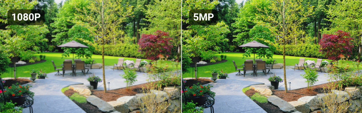 5mp