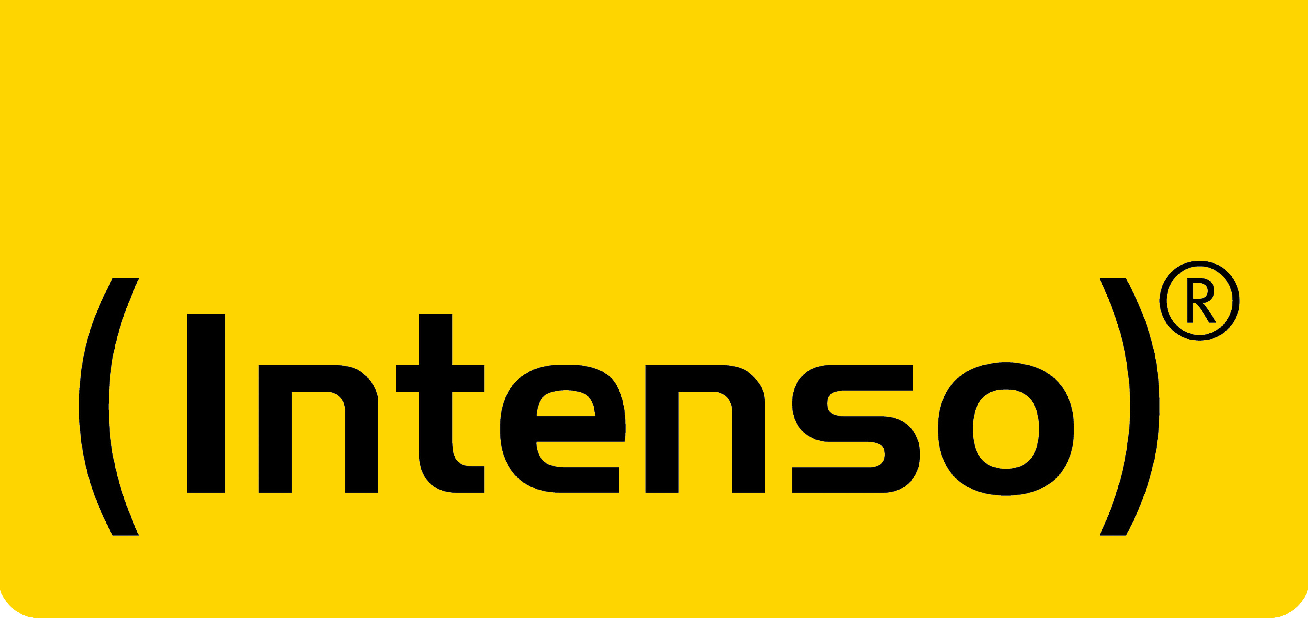 Intenso International GmbH | amfori