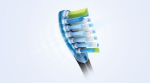 Dur cu placa bacteriana, delicat cu gingiile