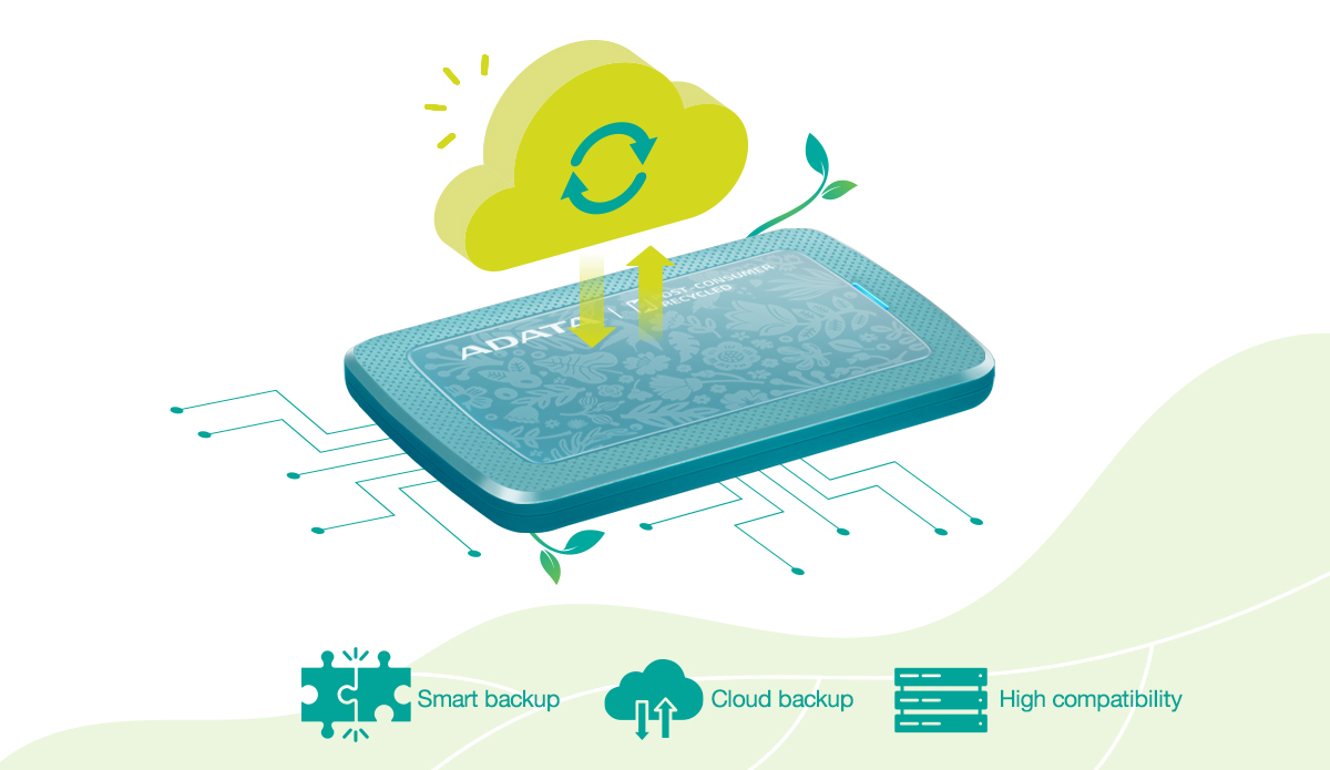 Backup ToGo Smart Backup Software